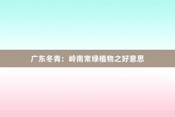 广东冬青：岭南常绿植物之好意思
