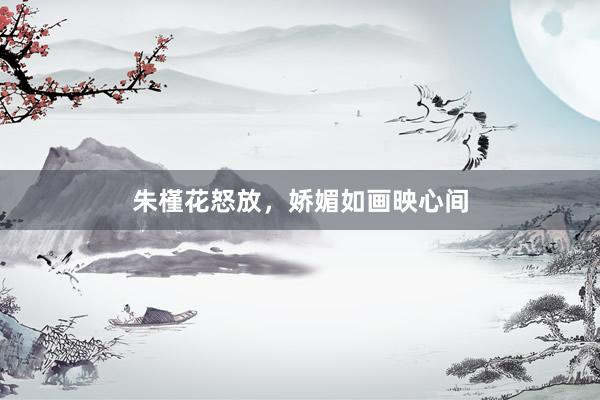 朱槿花怒放，娇媚如画映心间