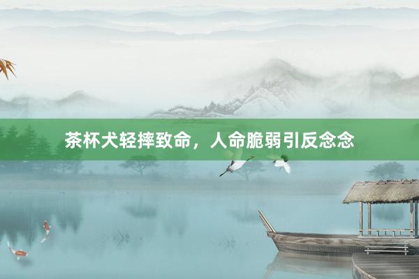 茶杯犬轻摔致命,人命脆弱引反念念