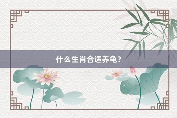 什么生肖合适养龟？